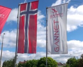 bandera REACCIÓN personalizada