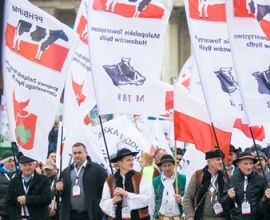 banderas con estampado